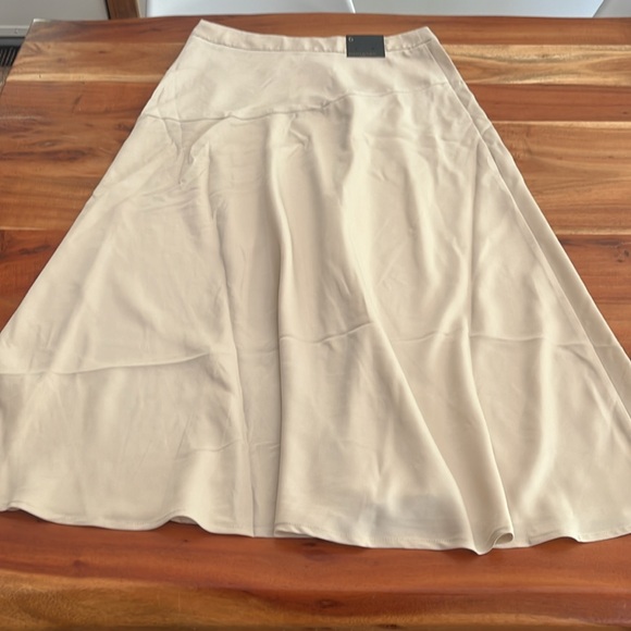 NWT Banana Republic Maxi Slip skirt in pearl oyster sz 6 - Picture 11 of 12